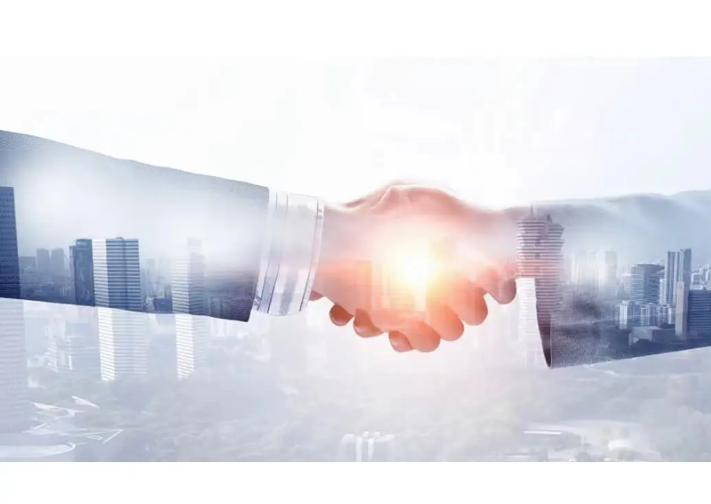 腊月梅含义大全女